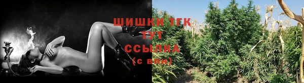 спайс Богданович