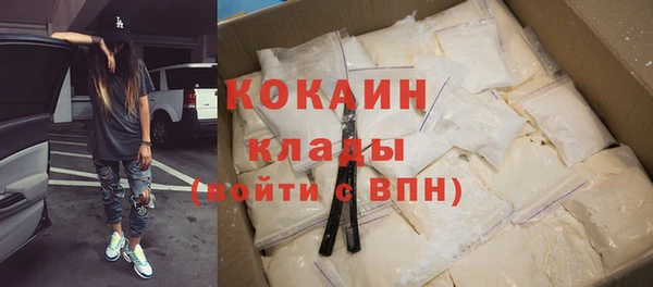 спайс Богданович