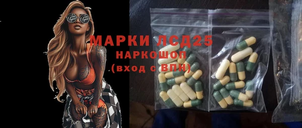 спайс Богданович