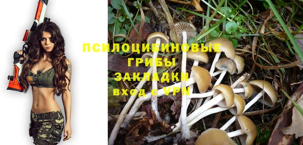 спайс Богданович