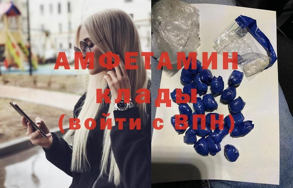 спайс Богданович